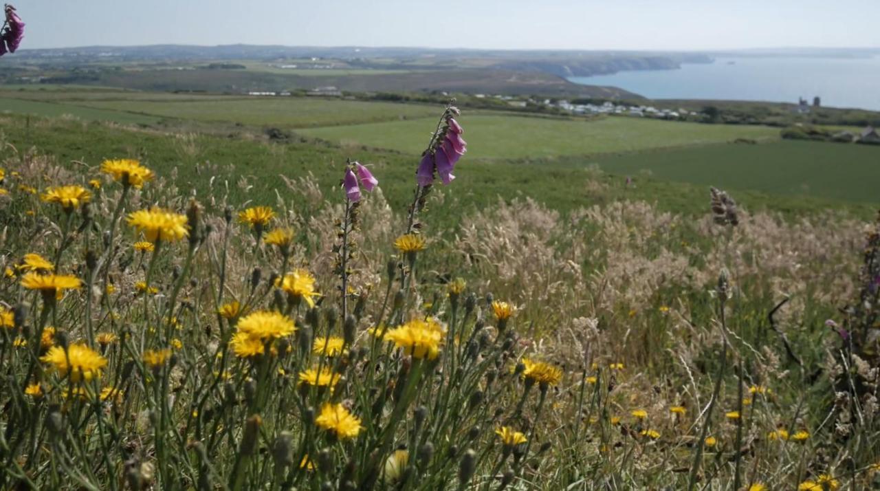 Beacon Country House Hotel & Luxury Shepherd Huts St Agnes  Exteriér fotografie